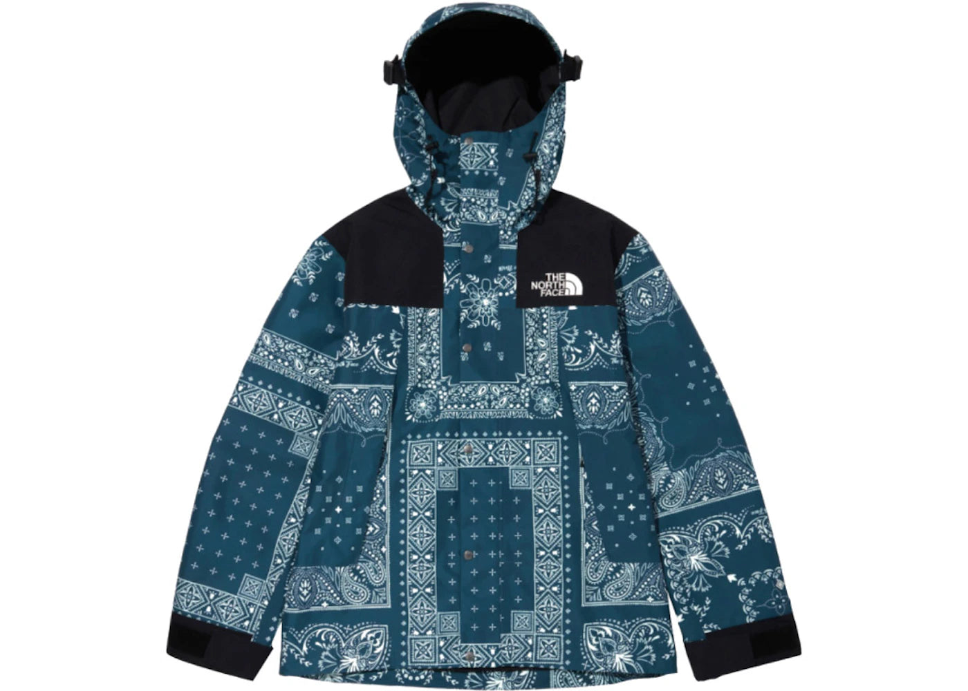 The North Face Novelty GTX Paisley Mountain Jacket Peacock Blue - vue secondaire A