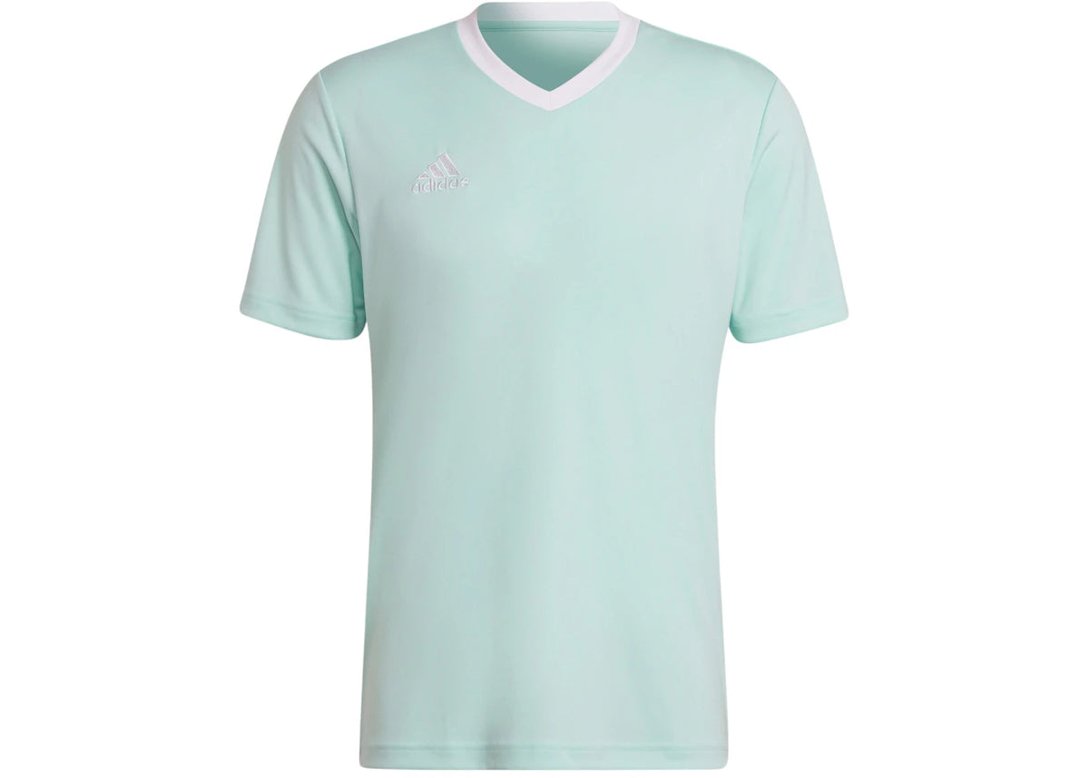 adidas Entrada 22 Jersey Clear Mint - vue secondaire A