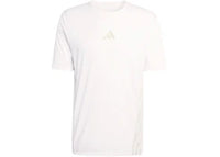 adidas Terrex Xperior Climacool Plus T-Shirt White