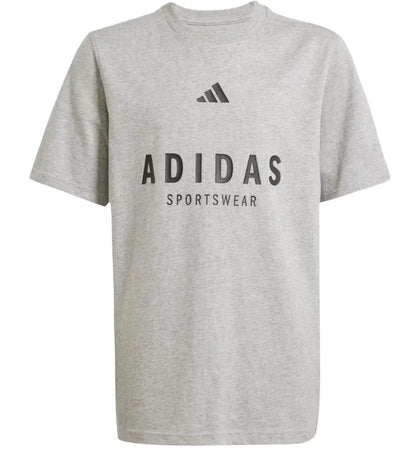 adidas All Szn Graphic Tee Medium Grey Heather/Black - authentic adidas product