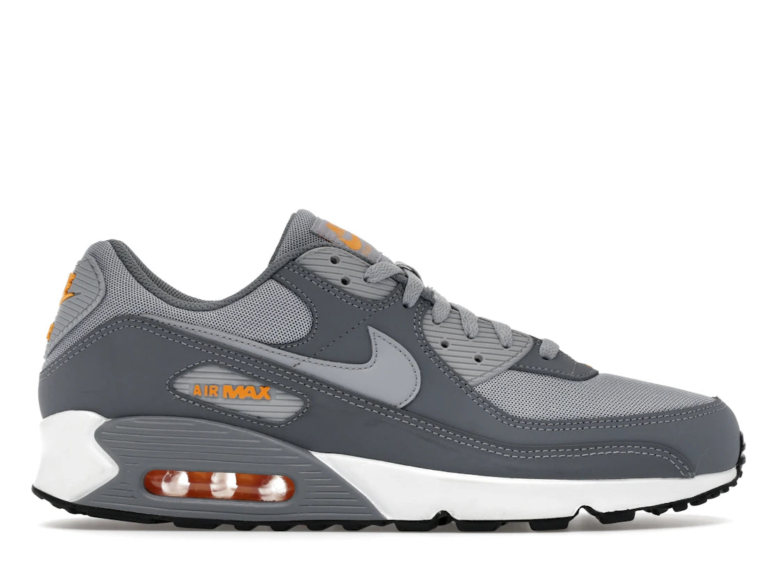Nike Air Max 90 Cool Grey Sundial