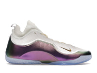 Nike LeBron 23 Elite For The Record