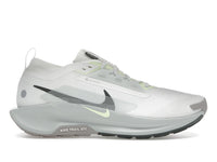 Nike Pegasus Trail 5 Gore-Tex Summit White Light Silver College Grey Sequoia