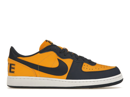 Nike Terminator Low Michigan - authentic Nike sneakers