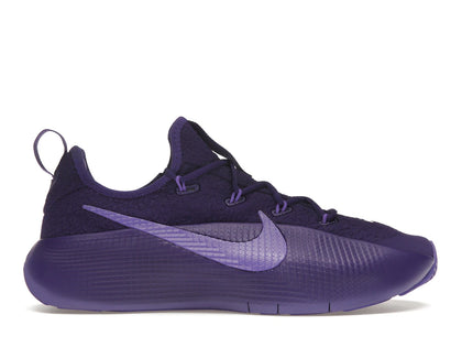 Nike LeBron TR 1 Purple Rain - authentic Nike sneakers
