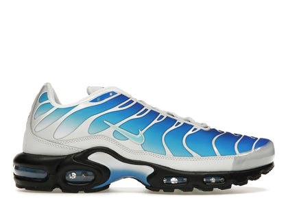 Nike Air Max Plus One Block Down Light Photo Blue - authentic Nike sneakers