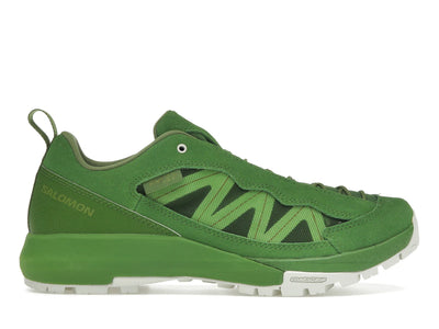 Salomon Alpinway SP2 Philéo Landowski Treetop