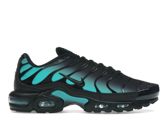 Nike Air Max Plus Schwarz Dusty Cactus