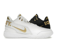 Nike Zoom LeBron NXXT Gen AMPD Equity