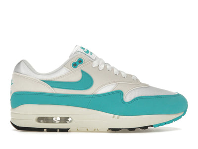 Nike Air Max 1 Dusty Cactus (Women's)
