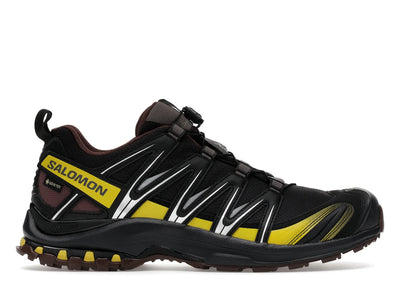 Salomon XA Pro 3D Gore-Tex Cress Green French Roast