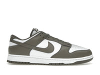 Nike Dunk Low Cave Stone
