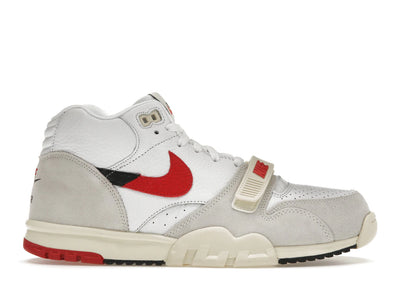 Nike Air Trainer 1 Split Chicago