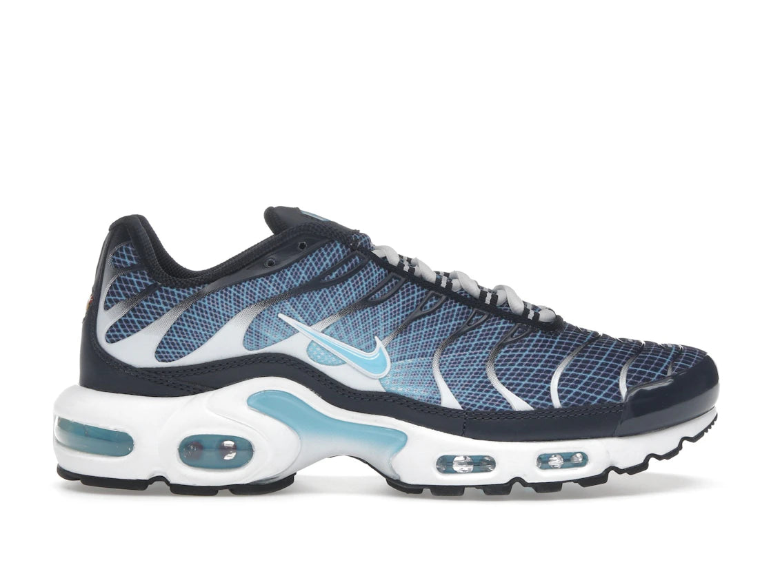 Nike Air Max Plus Dark Obsidian - vue 360