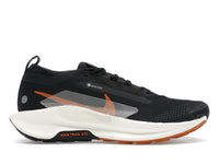 Nike Pegasus Trail 5 Gore-Tex Off Noir Black Monarch Pale Ivory