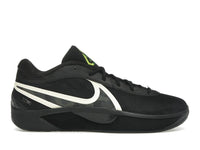 Nike Giannis Zoom Freak 6 Black Label
