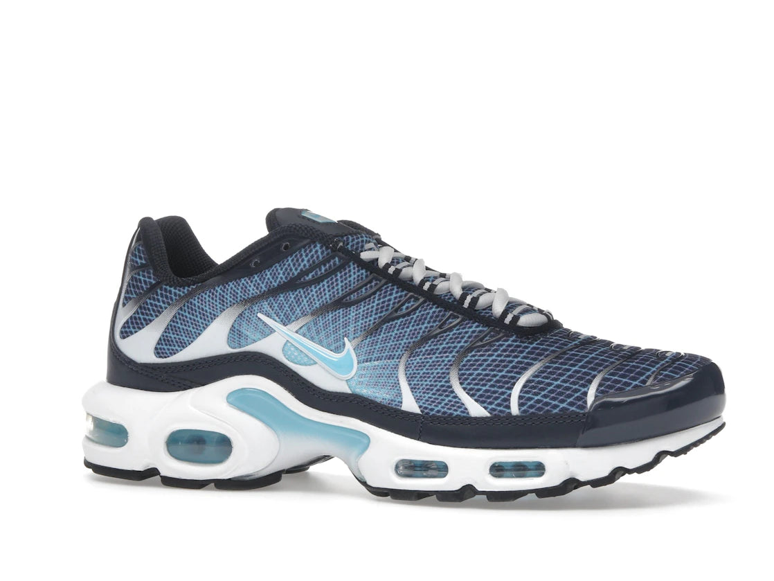 Nike Air Max Plus Dark Obsidian