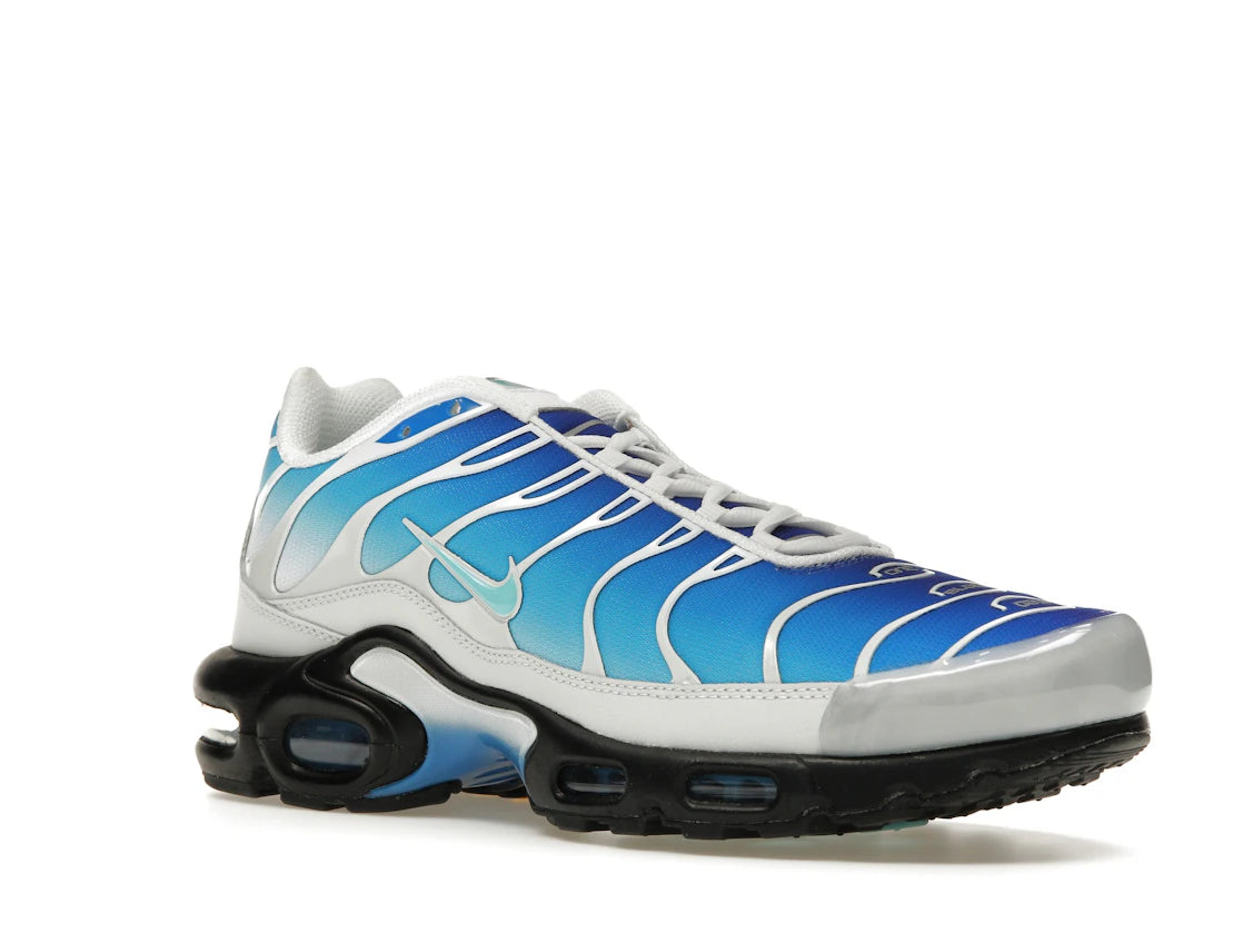 Nike Air Max Plus One Block Down Light Photo Blue
