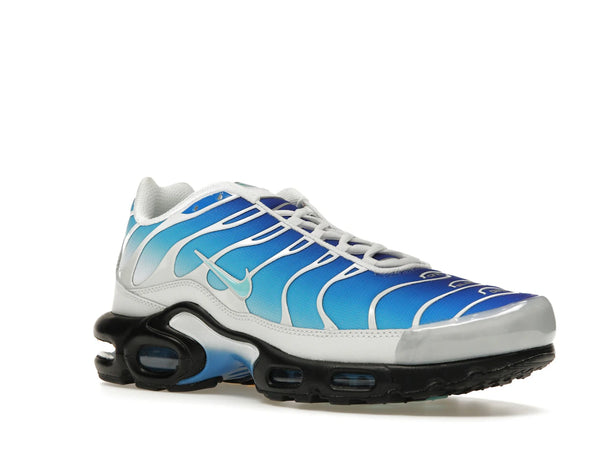 Nike Air Max Plus One Block Down Light Photo Blue