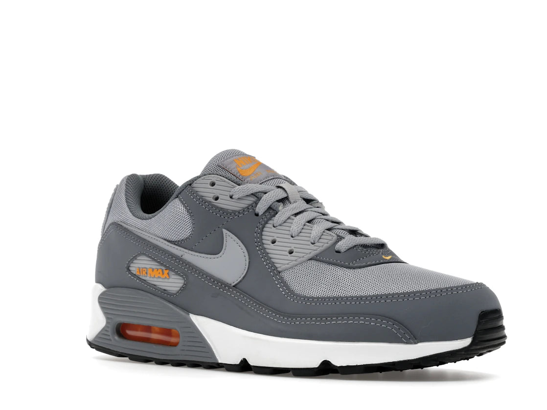 Nike Air Max 90 Cool Grey Sundial