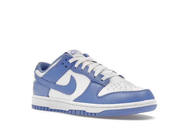 Nike Dunk Low Polar Blue