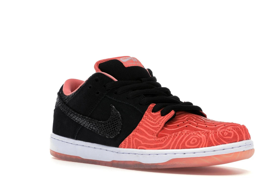 Nike SB Dunk Low Premier Fish Ladder - vue secondaire A