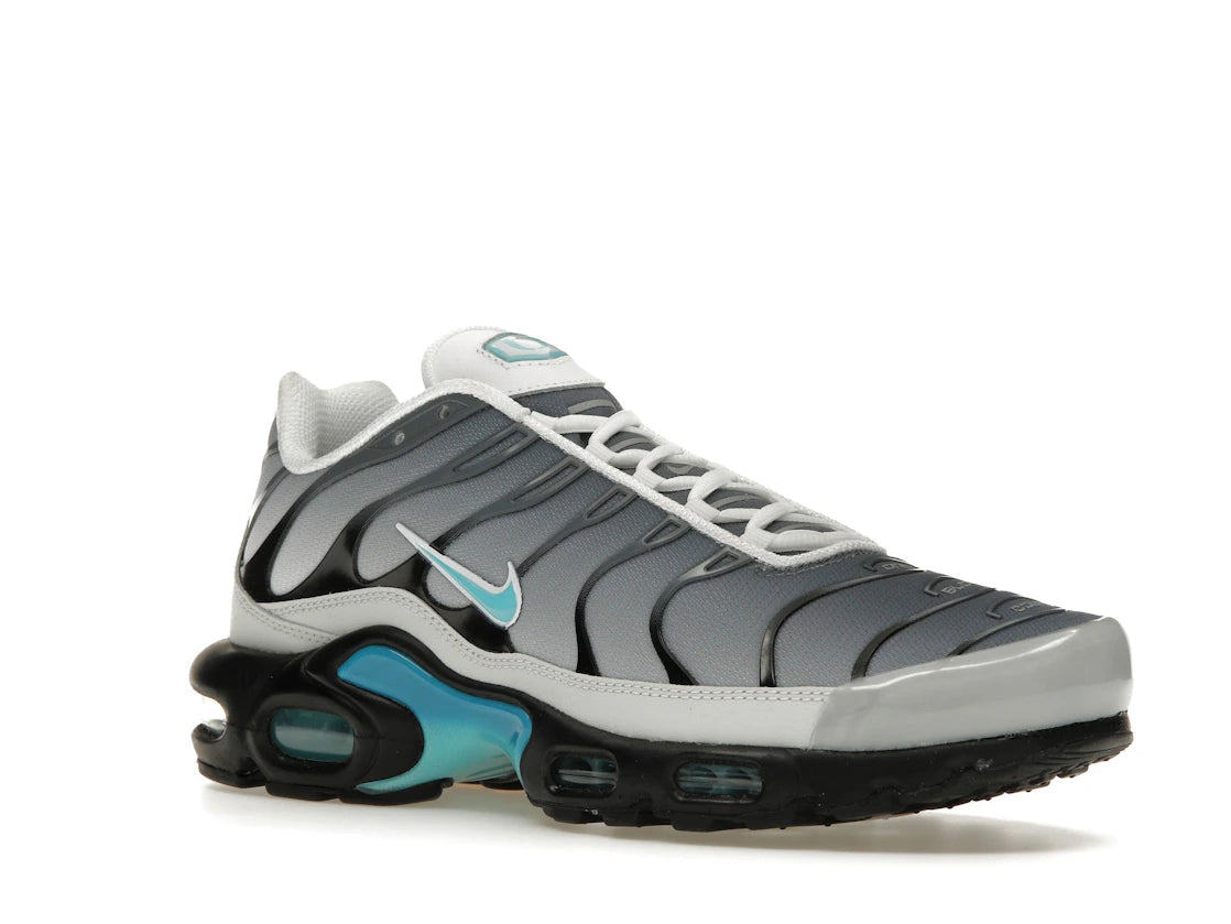 Nike Air Max Plus One Block Down Matte Silver