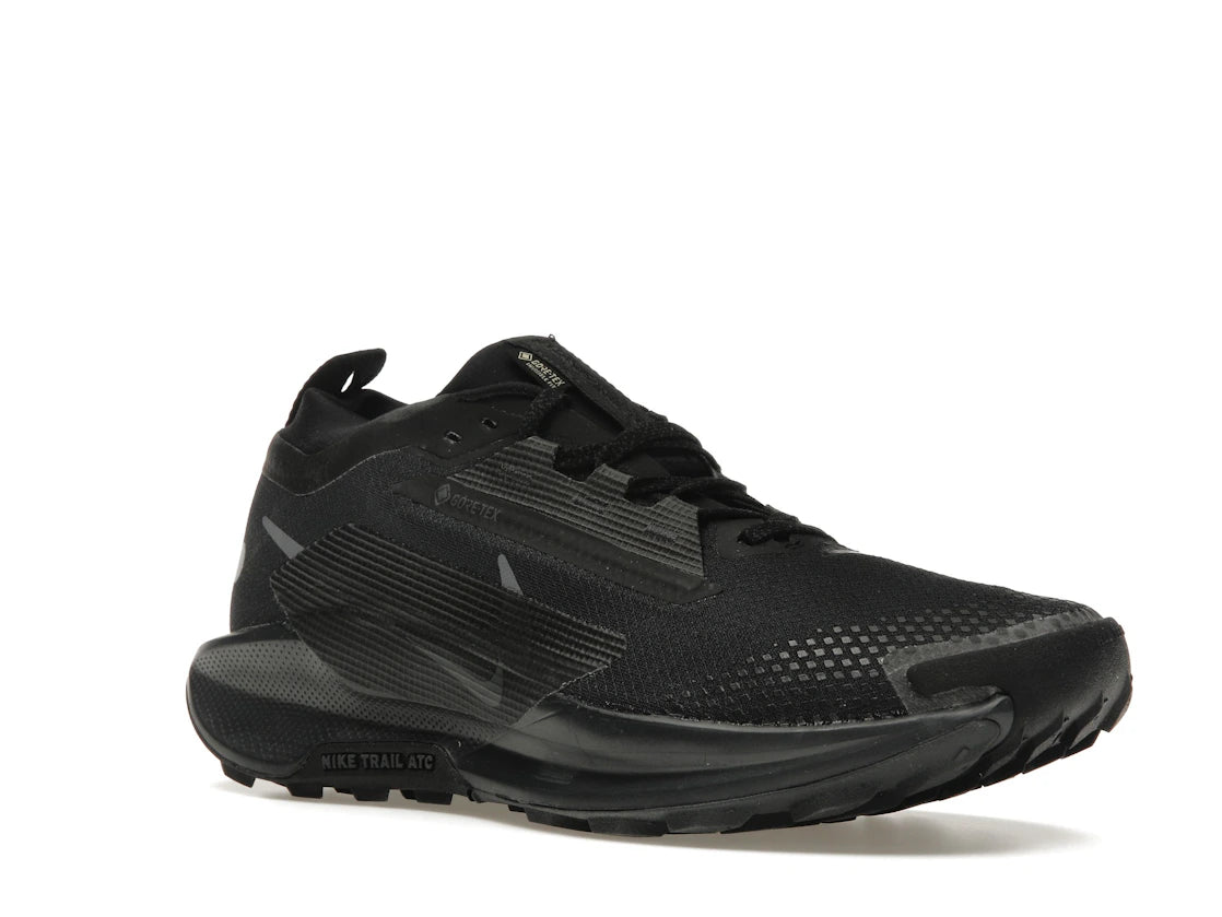 Nike React Pegasus Trail 5 Gore-Tex Schwarz Anthrazit