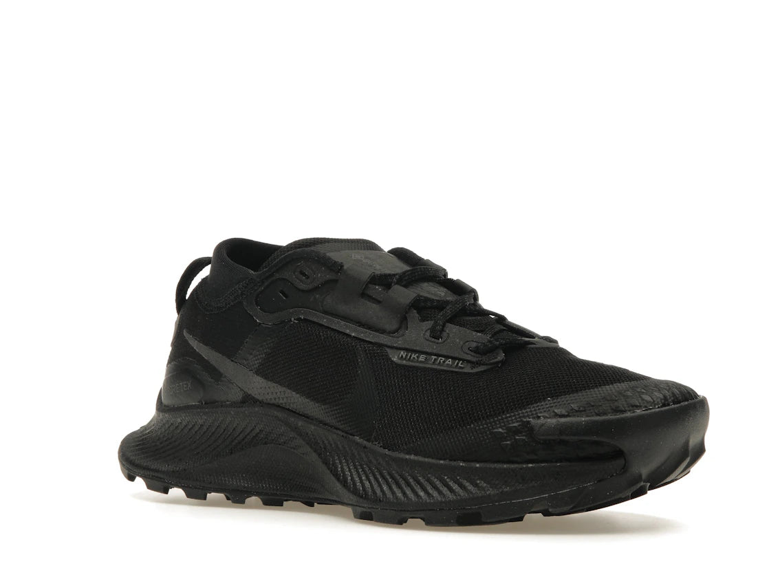 Nike Pegasus Trail 3 Gore-Tex Schwarz Dunkelgrau (Damen)