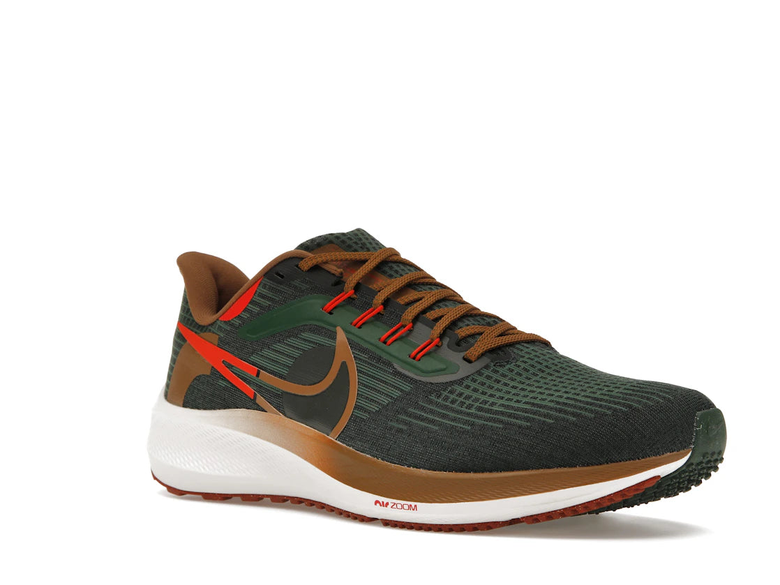 Nike Air Zoom Pegasus 39 A.I.R. Hola Lou