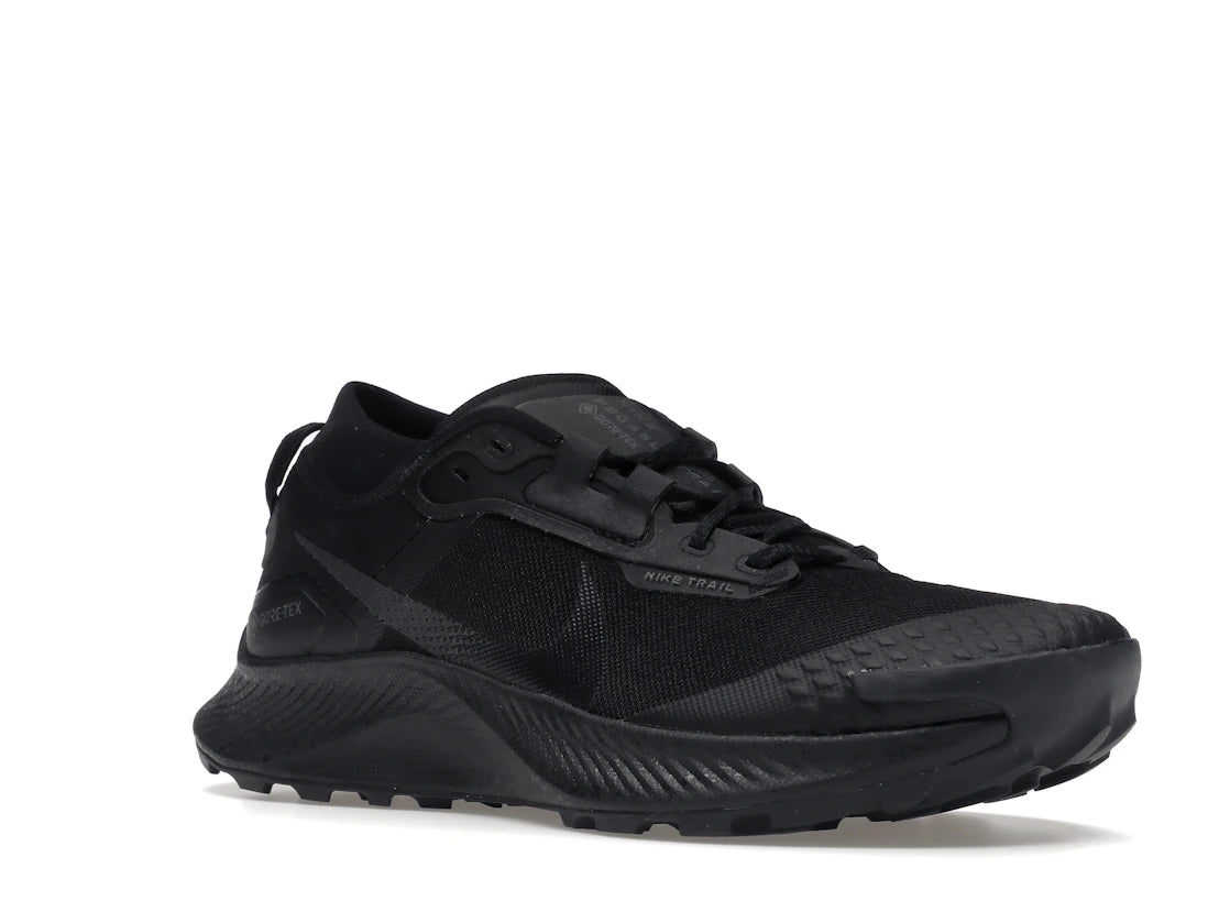 Nike Pegasus Trail 3 Gore-Tex Black Dark Smoke Grey