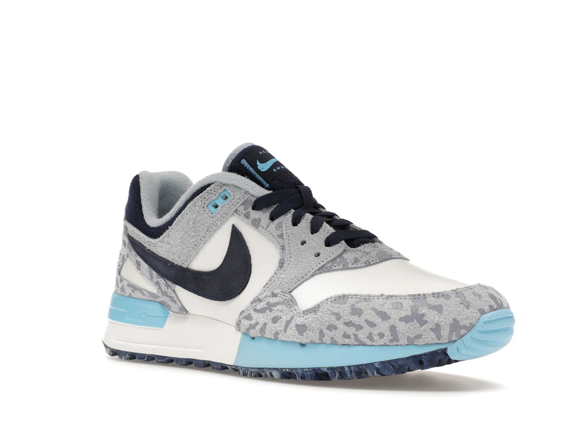 Nike Air Pegasus '89 Golf NRG Accept and Embrace