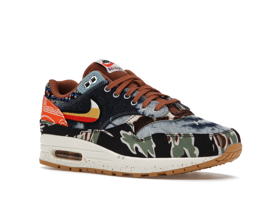 Nike Air Max 1 SP Concepts Heavy