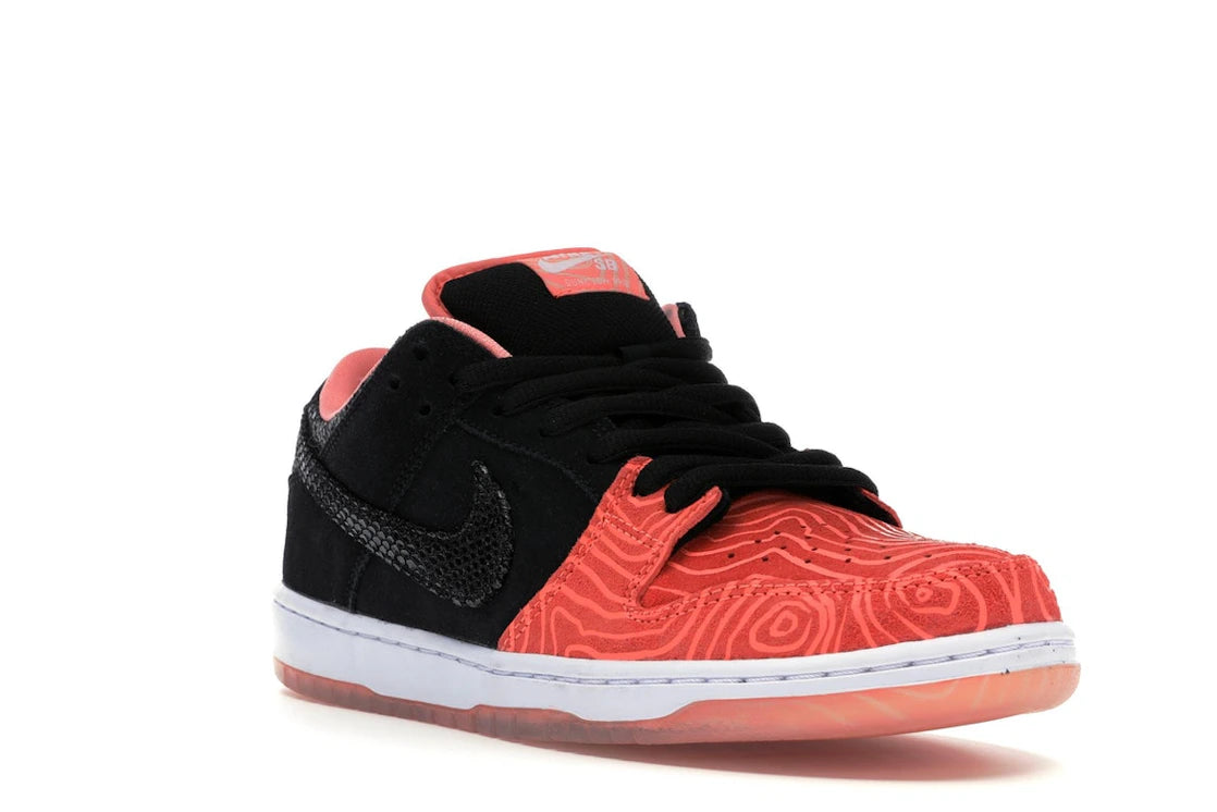 Nike SB Dunk Low Premier Fish Ladder - vue secondaire A