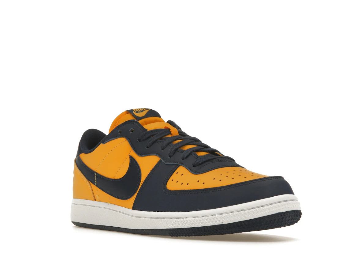 Nike Terminator Low Michigan - vue secondaire A