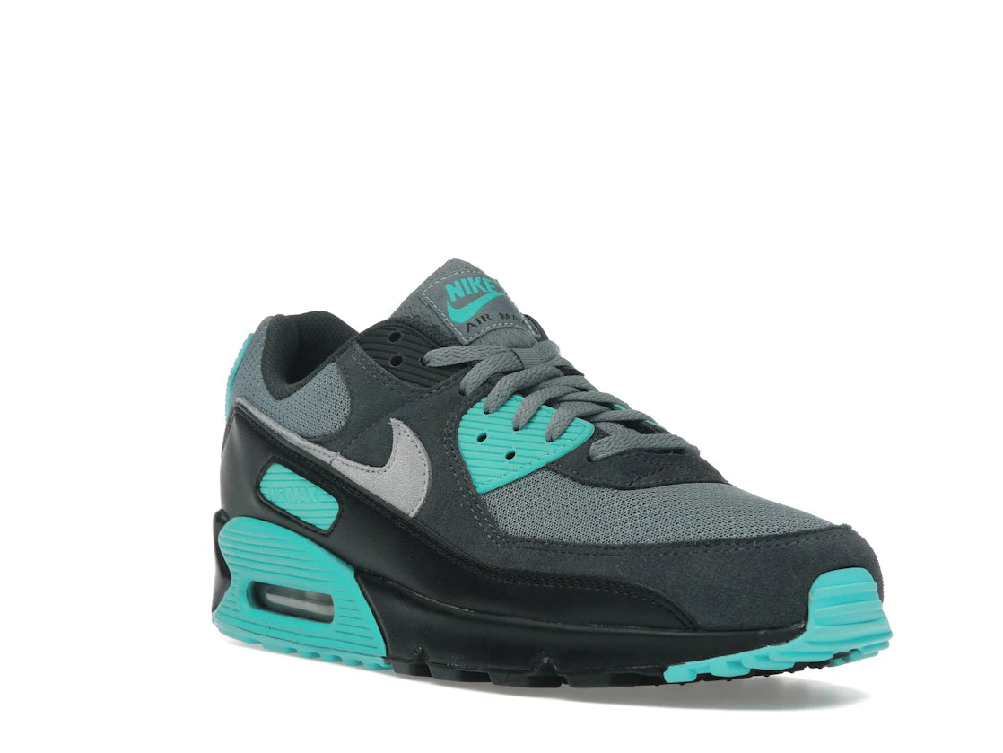 Nike Air Max 90 Cool Grey Dusty Cactus Black Wolf Grey - vue secondaire A