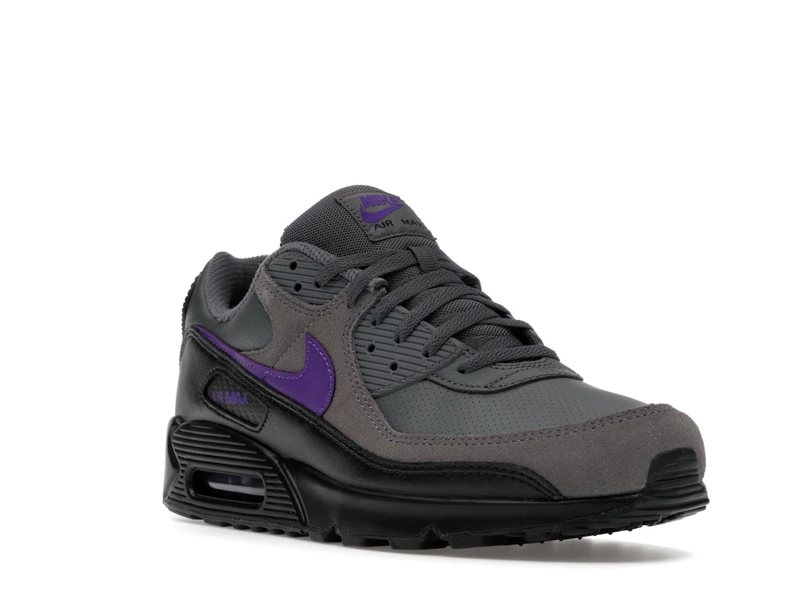 Nike Air Max 90 Iron Grey Wild Grape - vue secondaire A