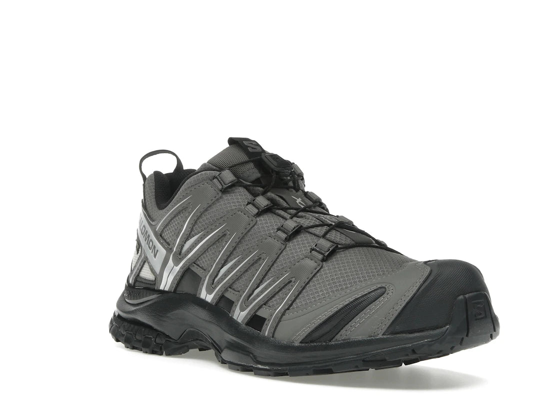 Salomon XA Pro 3D Gore-Tex Pewter Silver Cloud - vue secondaire A