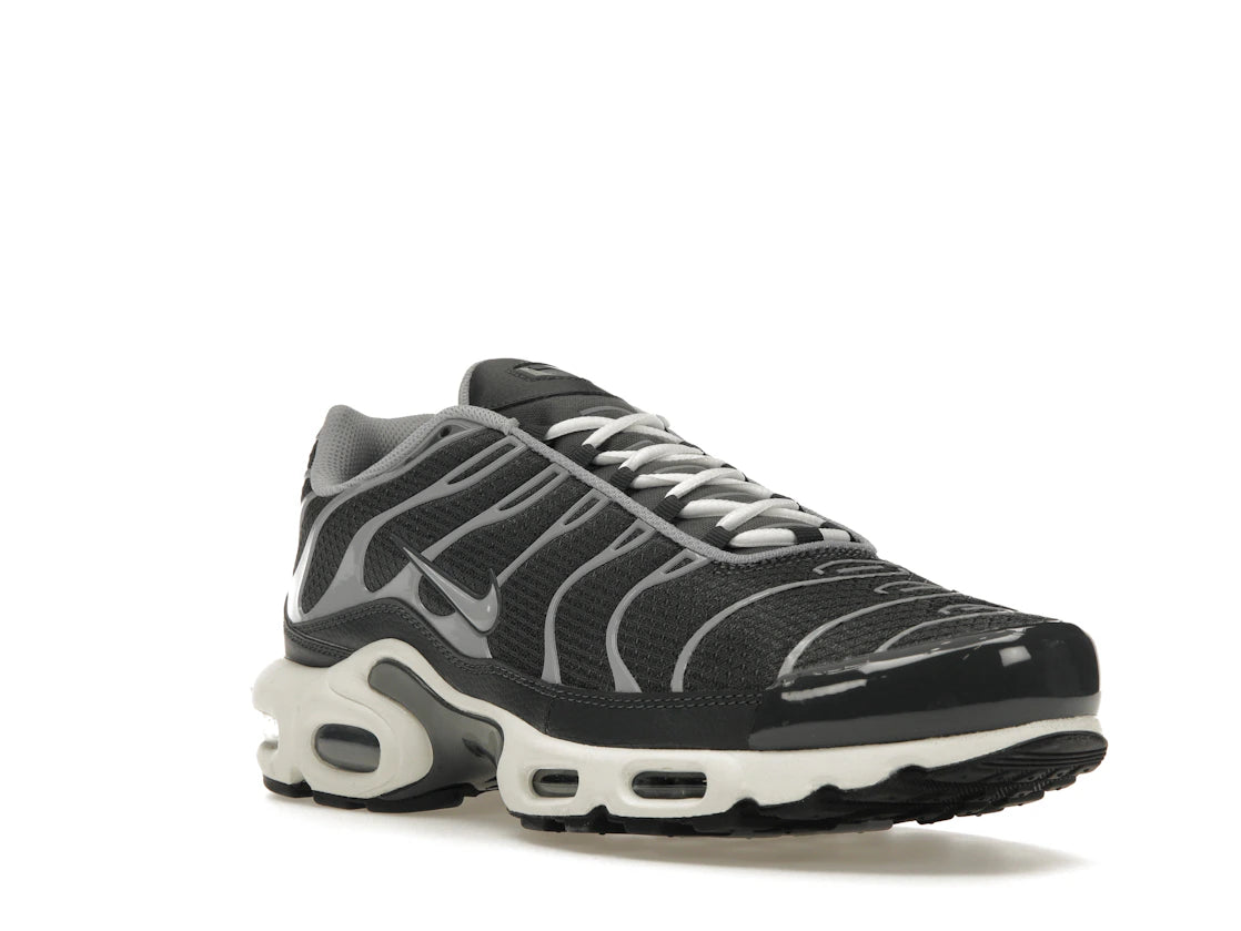 Nike Air Max Plus Greyscale Cool Grey - vue secondaire A