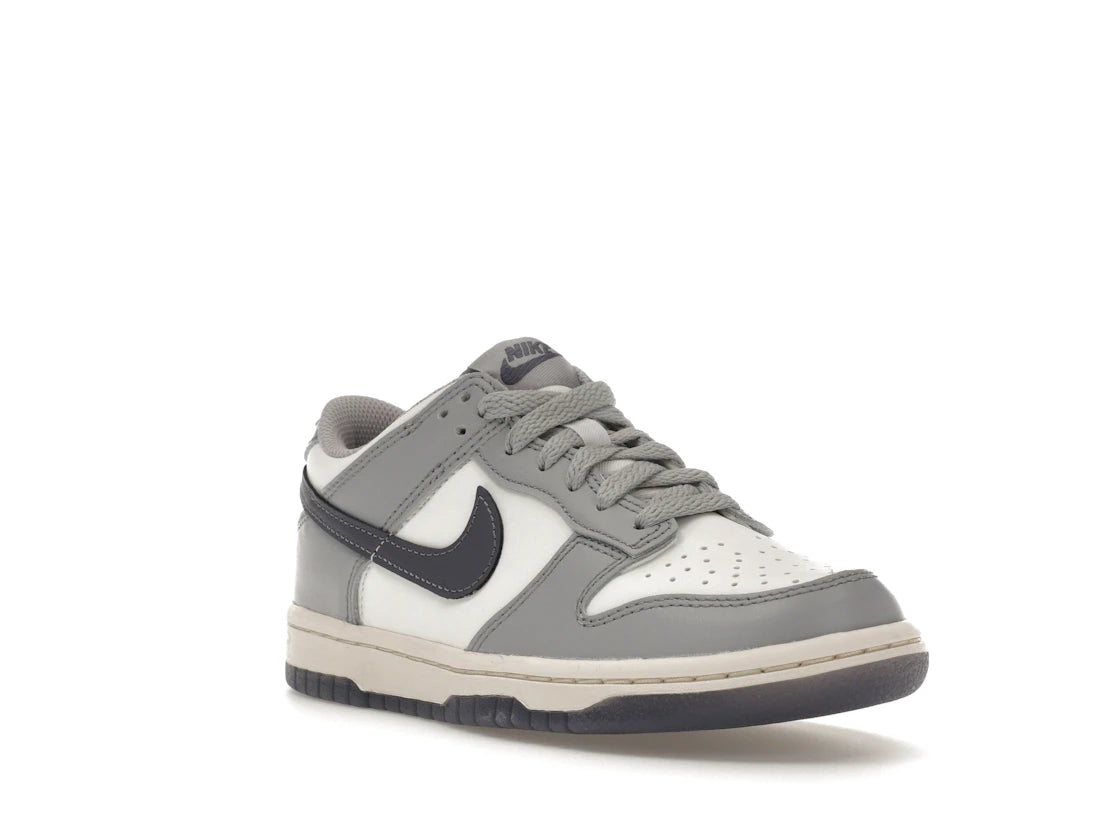 Nike Dunk Low Platinum Tint Light Carbon (GS) - vue secondaire A