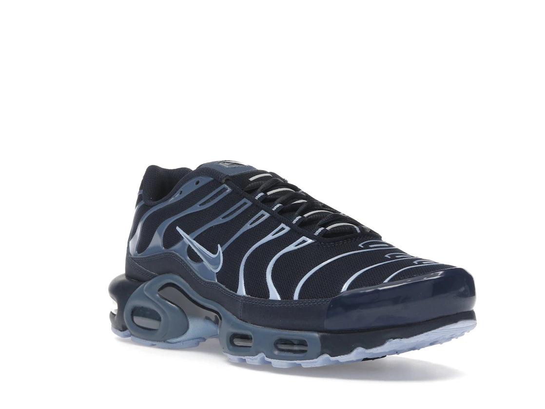Nike Air Max Plus Obsidian Aluminum - vue secondaire A