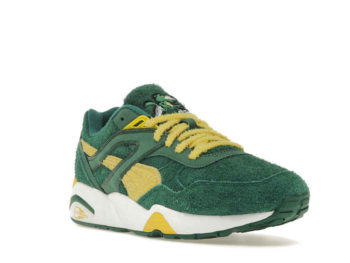 Puma R698 Super Puma Evergreen - vue secondaire A