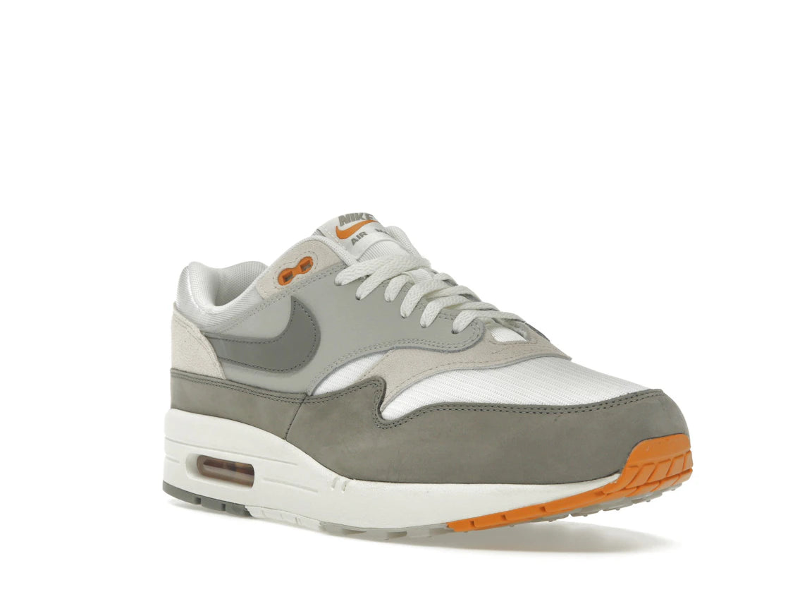Nike Air Max 1 Light Iron Ore Flat Pewter - vue secondaire A