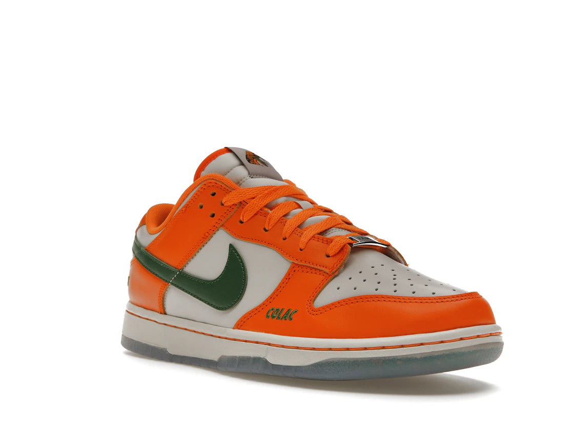 Nike Dunk Low FAMU - vue secondaire A