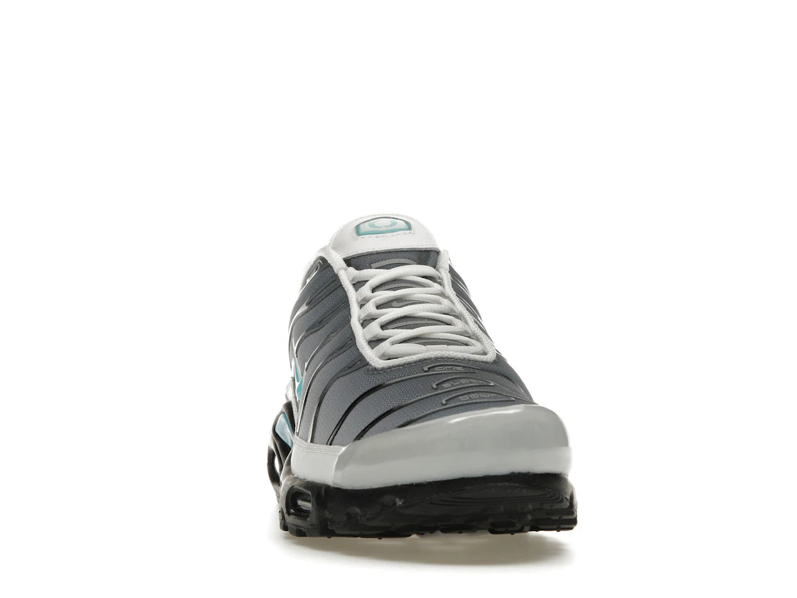 Nike Air Max Plus One Block Down Matte Silver - vue secondaire A