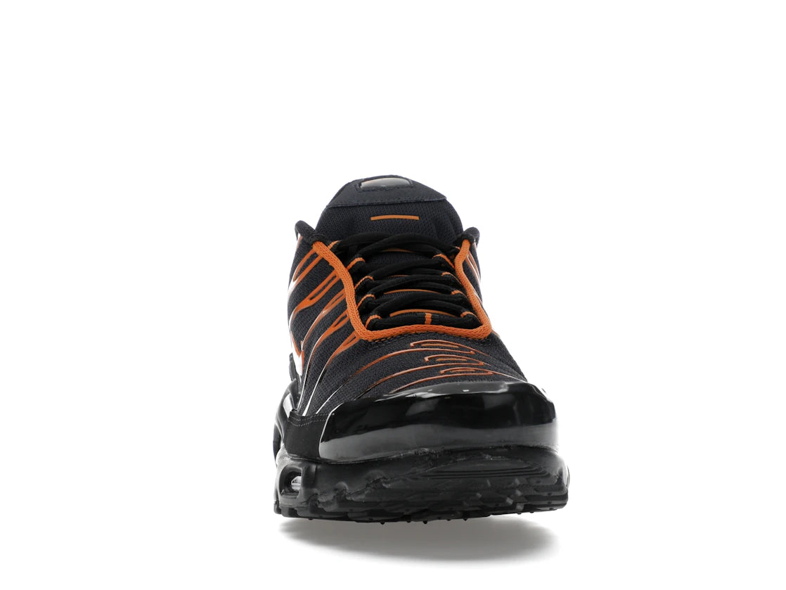 Nike Air Max Plus Dark Obsidian Monarch - vue secondaire A