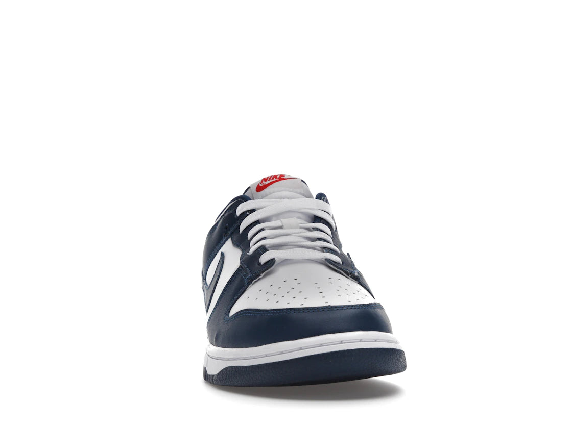 Nike Dunk Low Valerian Blue - vue secondaire A