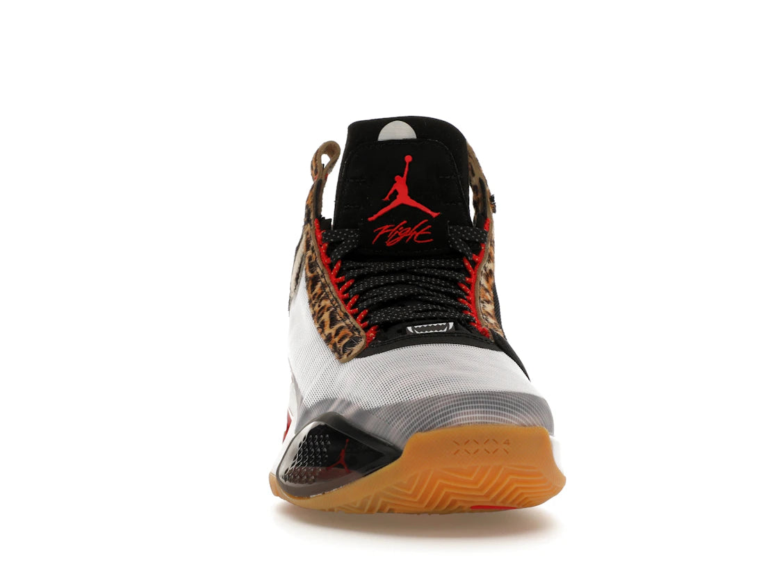 Jordan XXXIV Jayson Tatum Welcome To The Zoo (GS) - vue secondaire A