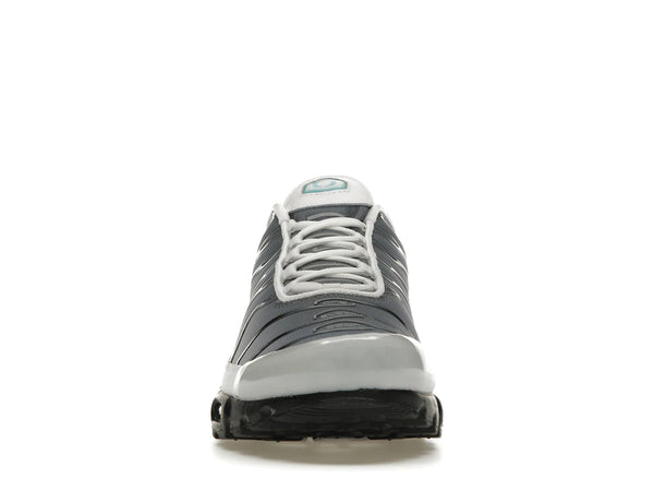 Nike Air Max Plus One Block Down Matte Silver