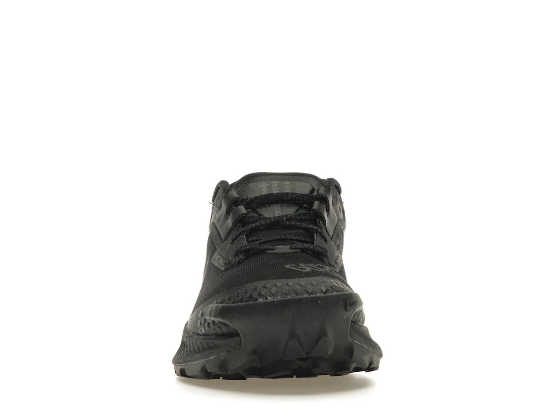 Nike Pegasus Trail 3 Gore-Tex Schwarz Dunkelgrau (Damen)